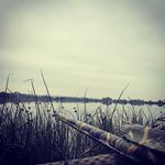 Alex Salisbury - @salisburyst34k - Instagram