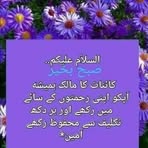 Alex Salm - Facebook