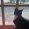 Leighton - @alex.giver - TikTok