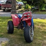 Alex Salvaggio - @hambone_350x - Instagram
