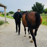 Alex Salvatoré - @alex.salvatore.902 - Instagram
