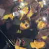 alexa salvatori - @alexasalvatori - TikTok