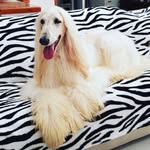 Alex Salvo Cobb - @salvocobb - Instagram