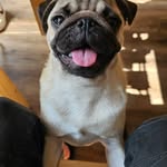 Alex Samain - @actiiv.fitness - Instagram