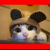 Victoria - @alex.samain6 - TikTok