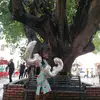 alexandrasamboy24 - @alexandrasamboy24 - TikTok