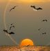 Aleks Samoylov - Facebook