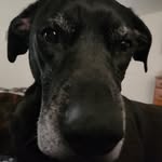 Alex Samples - @asamples87 - Instagram