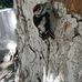 Alexandru  Samsonov - Facebook