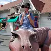 Alex Sanborn - @sanborn12 - TikTok