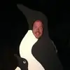 Alexander Sanborn - @dorkyvader - TikTok