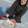 alexsandberg353 - @alexsandberg353 - TikTok