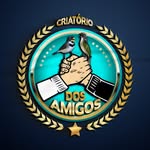 Alex Sander Correia da Silva - @criatorio_dos_amigos03 - Instagram
