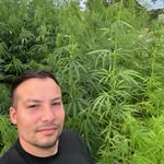 Alex Šandor - @alexsandor531 - Instagram