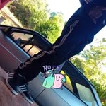 Alexsandoro Melo - @alexsandoromelo - Instagram