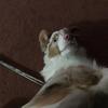 Alex Sangster - @alex.sangster2 - TikTok