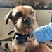 Alex Sayer - Facebook