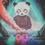 Alex schaffer - @alex_schaffer123 - Instagram