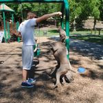 Alex Schaffer - @amschafskie - Instagram