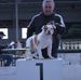Alex Schenk - Facebook