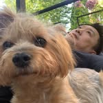 Alex Seong - @alexseong19801 - Instagram