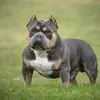 Alex Serna - @alex.serna06 - TikTok