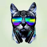 Alex Shafer - @alex_shafer - Instagram
