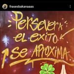 Alexis palavecino - @alexsi_palavecino - Instagram