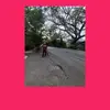 ÁĹÉXŠÏ PÁŁÂĆÎÖŠ - @alexsipalacios - TikTok