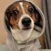 Aleks Smyk - Facebook