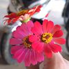 Alex so - @alex.so66 - TikTok