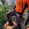 Alex Stacey - @alexstacey - TikTok