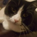 Alex Stedman - @alex.stedman.9862 - Instagram