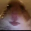 Alex Stedman - @alexstedman3 - TikTok
