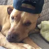 Alex Stoddart - @alexstoddart71 - TikTok