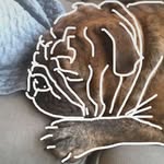 Alex Storer - @alexanderernestthegreat - Instagram