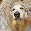 Alex Stout - @alexstout10 - TikTok