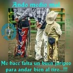 Alex Suares - @alex.suares.5686 - Instagram