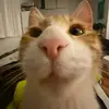 sushkovalex1904 - @sushkovalex1904 - TikTok