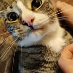 Alex Swaim - @nulltoaster - Instagram