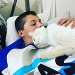 Alex21 - @alex.taberno21 - Instagram