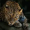 Alex teedy - @alex.teedy - TikTok