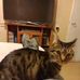 Alex Terry - Facebook