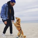 Alex Thelen - @alex.tri.running - Instagram