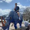 Alex - @alextilley17 - TikTok