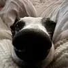 Alex Tilley - @user12022493 - TikTok