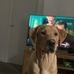 Alex Tomkinson - Facebook