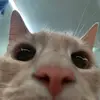 Alex_tonin - @alex_tonin - TikTok