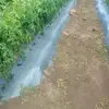 Alex tonin - @alex.tonin0 - TikTok