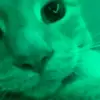Alexxx - @alex_tonin1 - TikTok